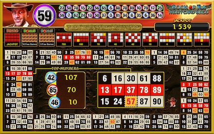 Book of Ra Multi Card Bingo deluxe screenshot