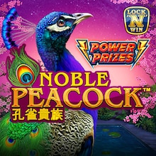POWER PRIZES – Noble Peacock