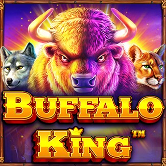 The Buffalo King