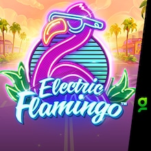 Electric Flamingo