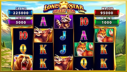 Lone Star Link: Grizzly Wins screenshot