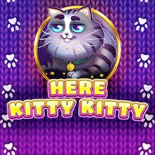 Here Kitty Kitty