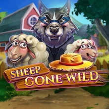 Sheep Gone Wild