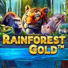 Rainforest Gold