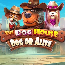 The Dog House - Dog or Aliveâ˘
