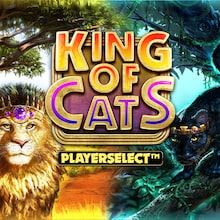 King of Cats