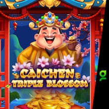 CAICHEN TRIPLE BLOSSOM