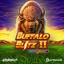 Buffalo Blitz II