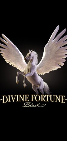 Divine Fortune Black