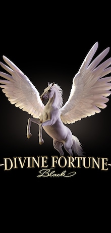 Divine Fortune Black