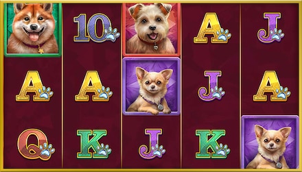 Diamond Doggies screenshot