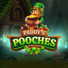 Paddy’s Pooches