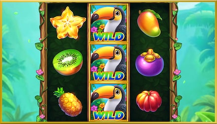 Toucan Mania screenshot