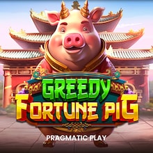 Greedy Fortune Pig