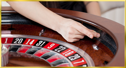 Live Roulette  screenshot
